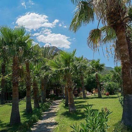Maris Butik Hotel تورونشْ المظهر الخارجي الصورة