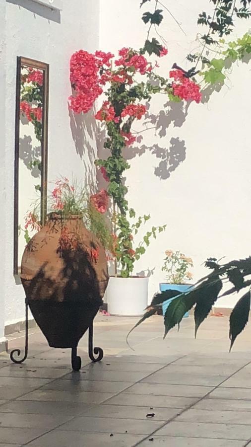 Maris Butik Hotel تورونشْ المظهر الخارجي الصورة